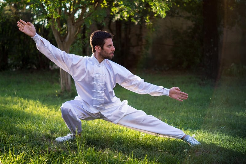 Tai Chi Meditation and Yoga